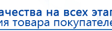 СКЭНАР-1-НТ (исполнение 01 VO) Скэнар Мастер купить в Волгограде, Аппараты Скэнар купить в Волгограде, Дэнас официальный сайт denasdoctor.ru